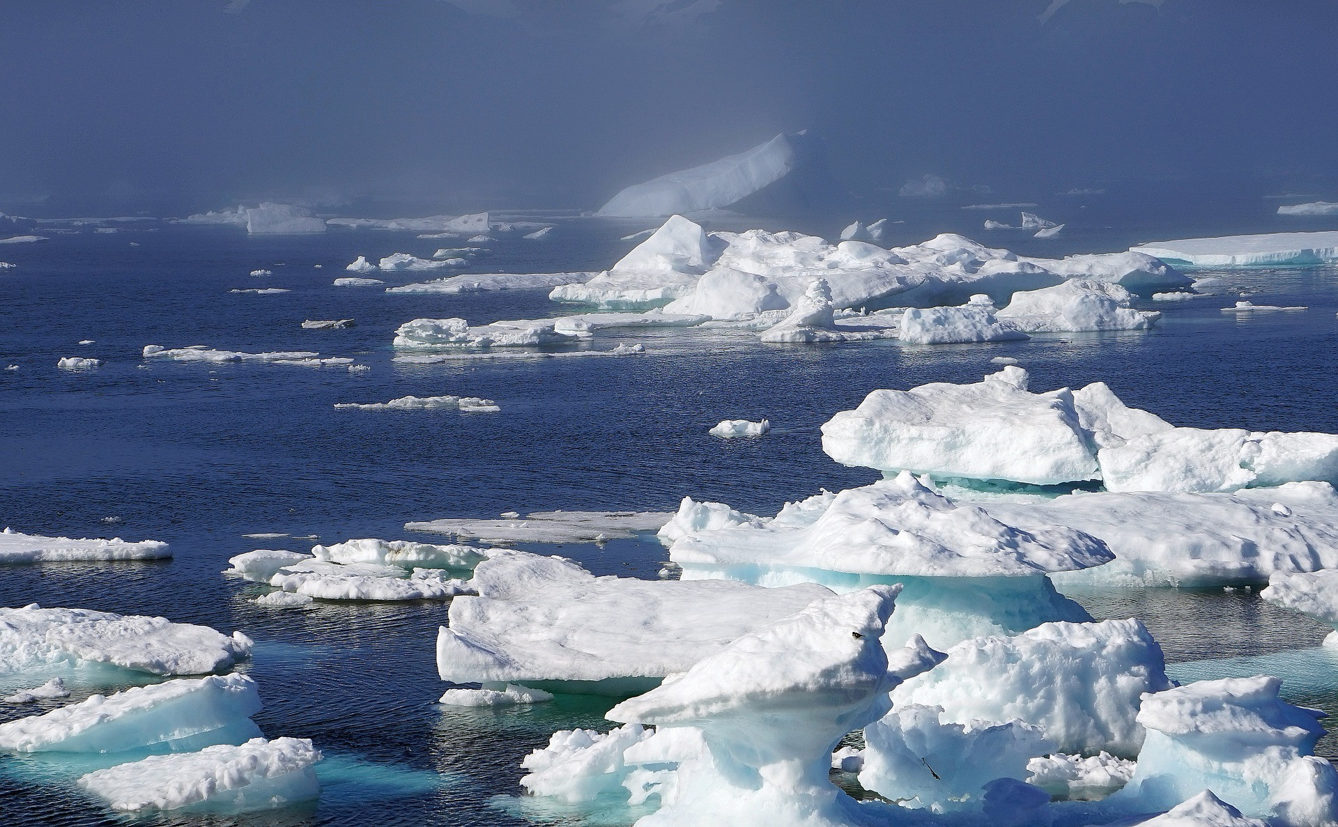 Chunks of ice floating on the ocean surface