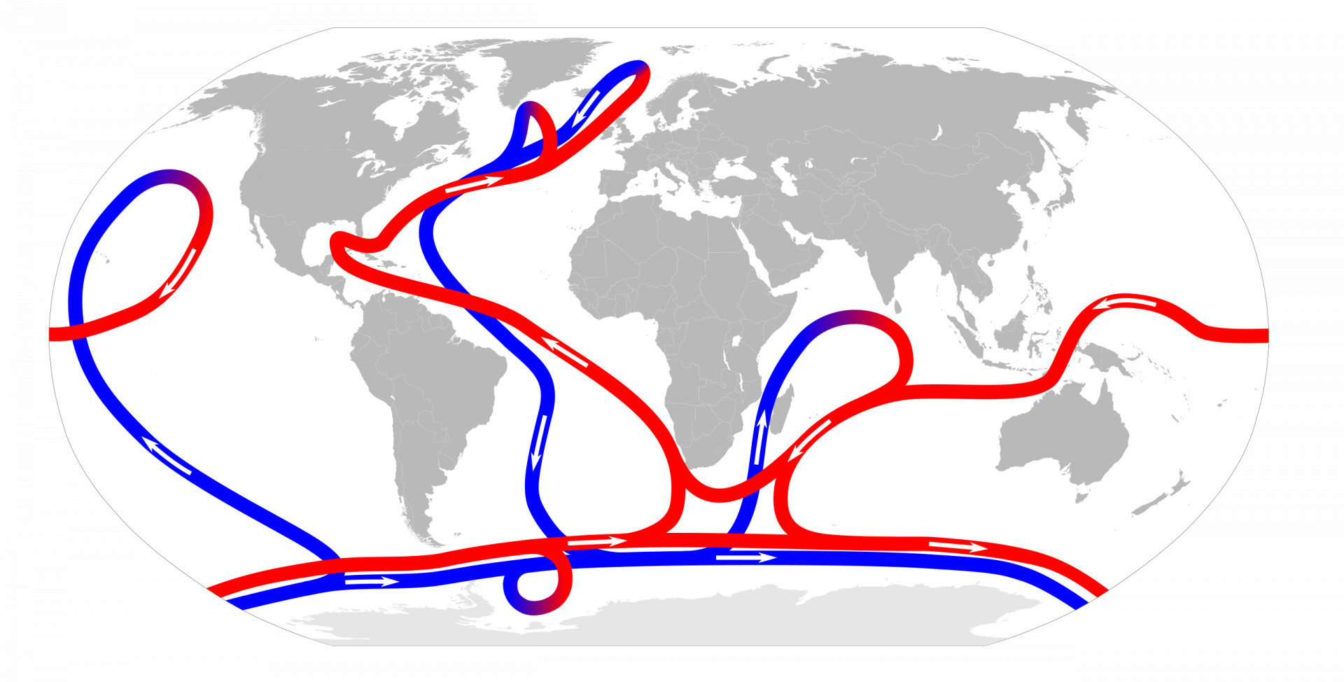 Rote Linien (für warmes Oberflächenwasser) und blaue Linien (für kaltes Tiefenwasser) schlängeln sich durch die Ozeane auf einer grau-weißen Weltkarte.