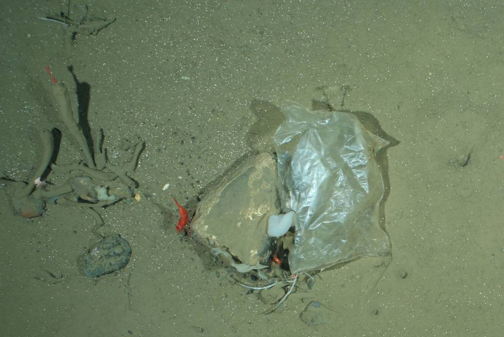 Plastic on the bottom of the ocean