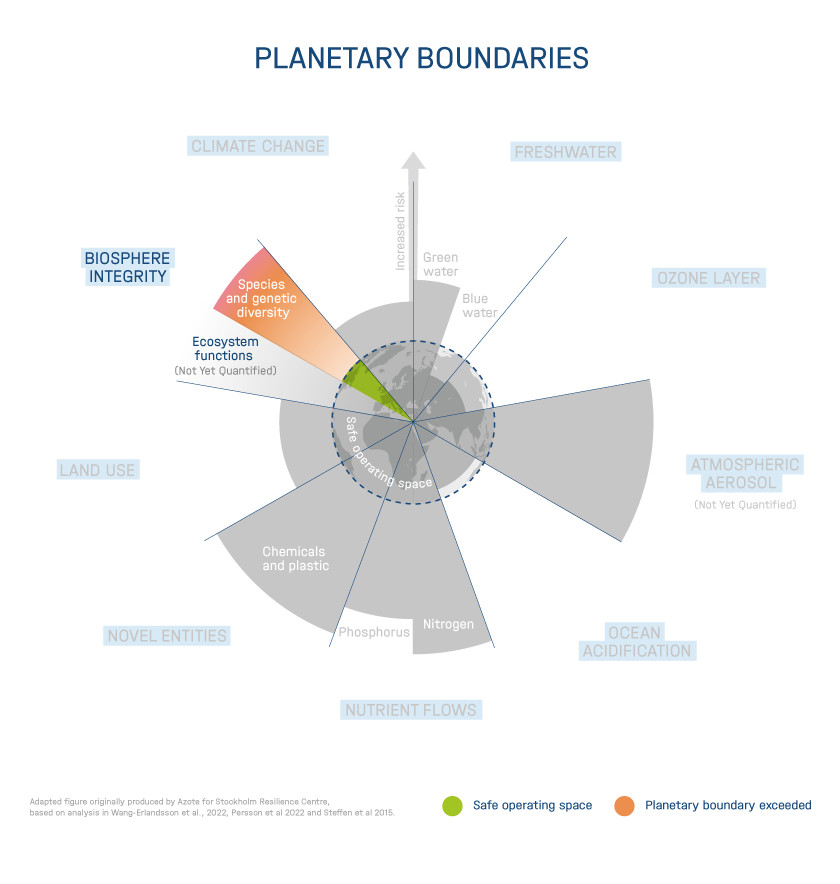 The nine planetary boundaries according to Rockström, Stockholm Resilience Center