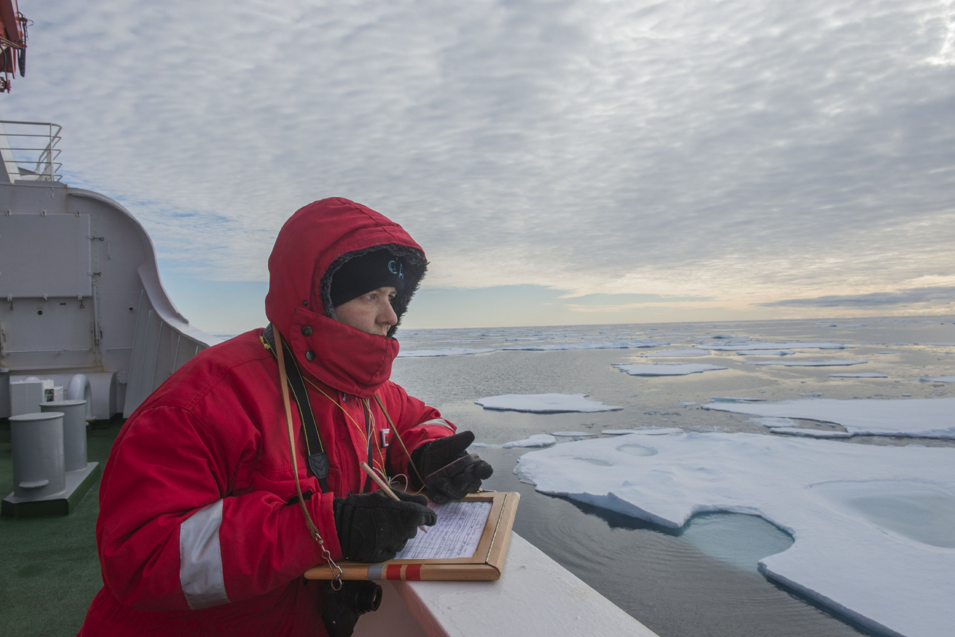 Scientist Melanie Bergmann takes notes on a ship, with ice floating on the water surface