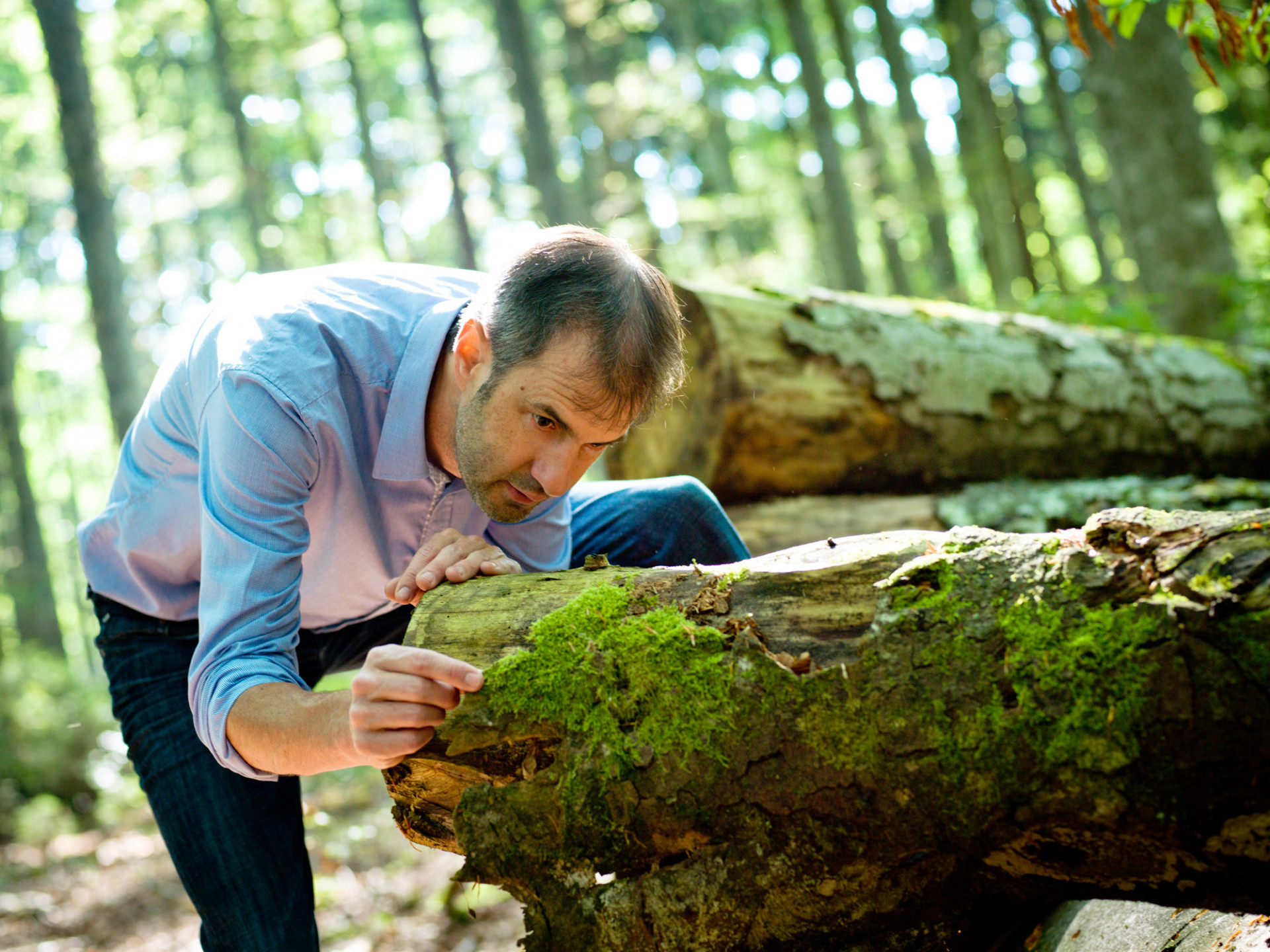 Prof. Jörg Müller im Wald im Einsatz