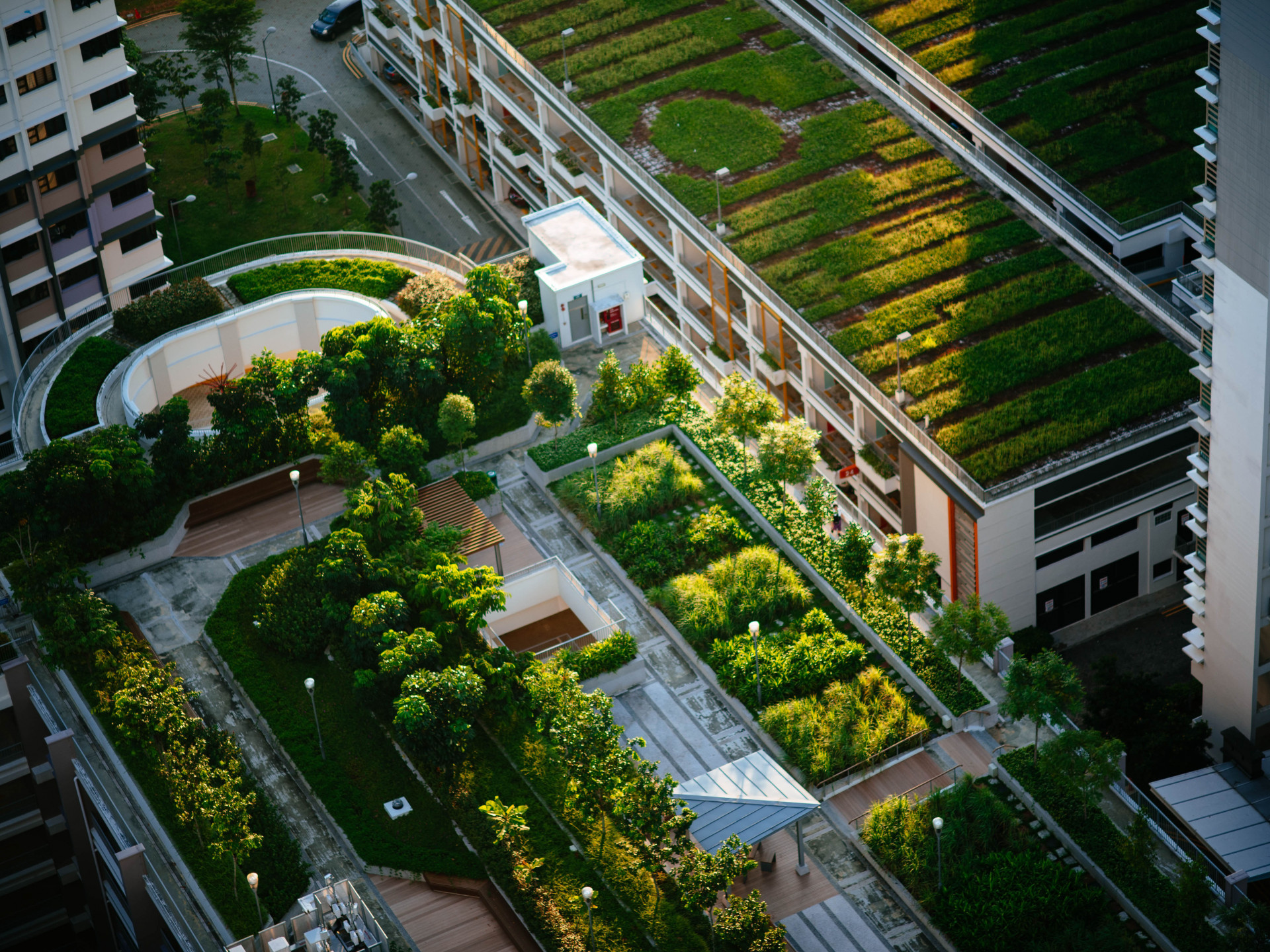 View from above: Roof gardens