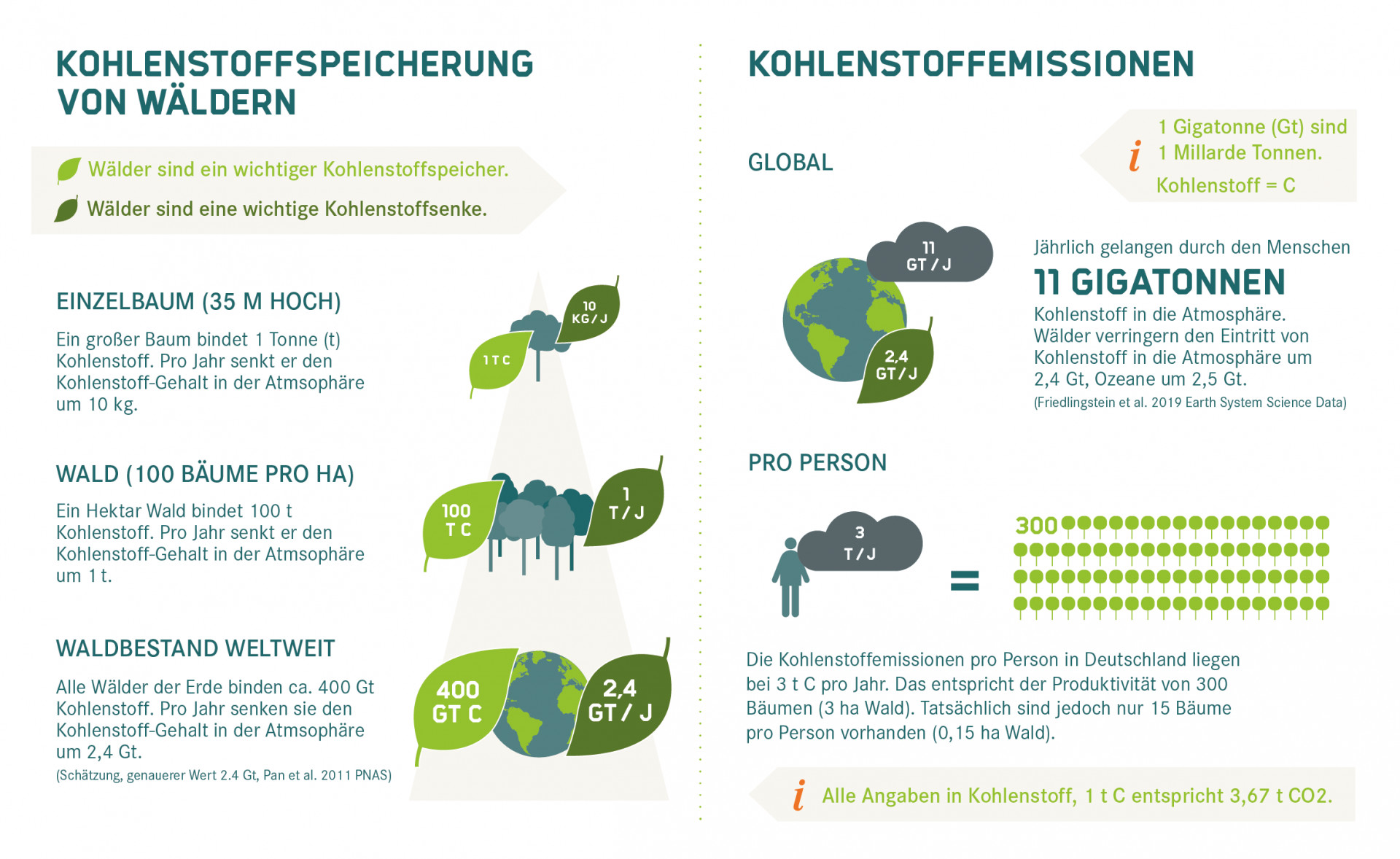 Kohlenstoffspeicherung und -emissionen von Wäldern im Vergleich