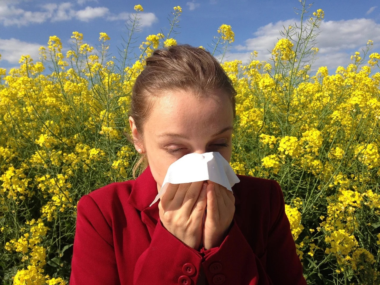 Woman blowing her nose in front of a field of rapeseed