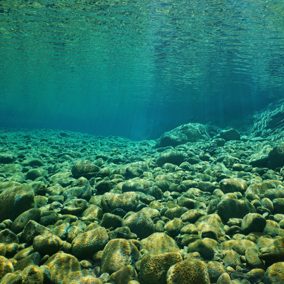 steiniges Flussbett unter Wasser