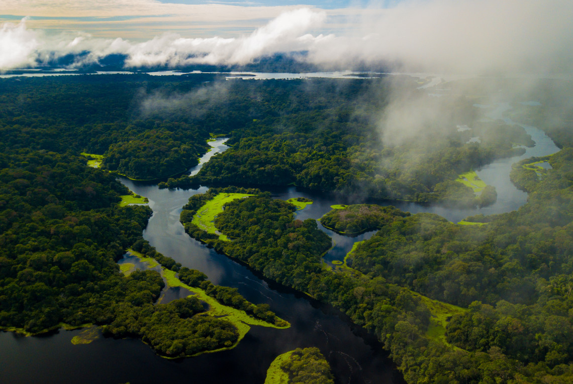 Amazonas-Regenwald von oben gesehen offenbart die Schönheit seiner Flüsse, Bäume und Tiere.