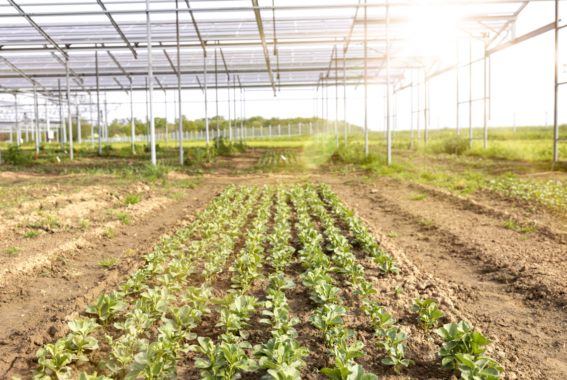 Agri-PV