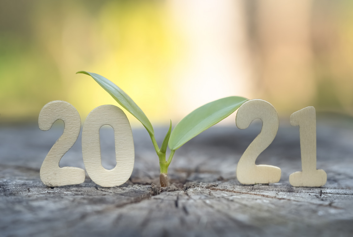 Holzzahlen 2021 mit Pflanze zwischen 20 und 21