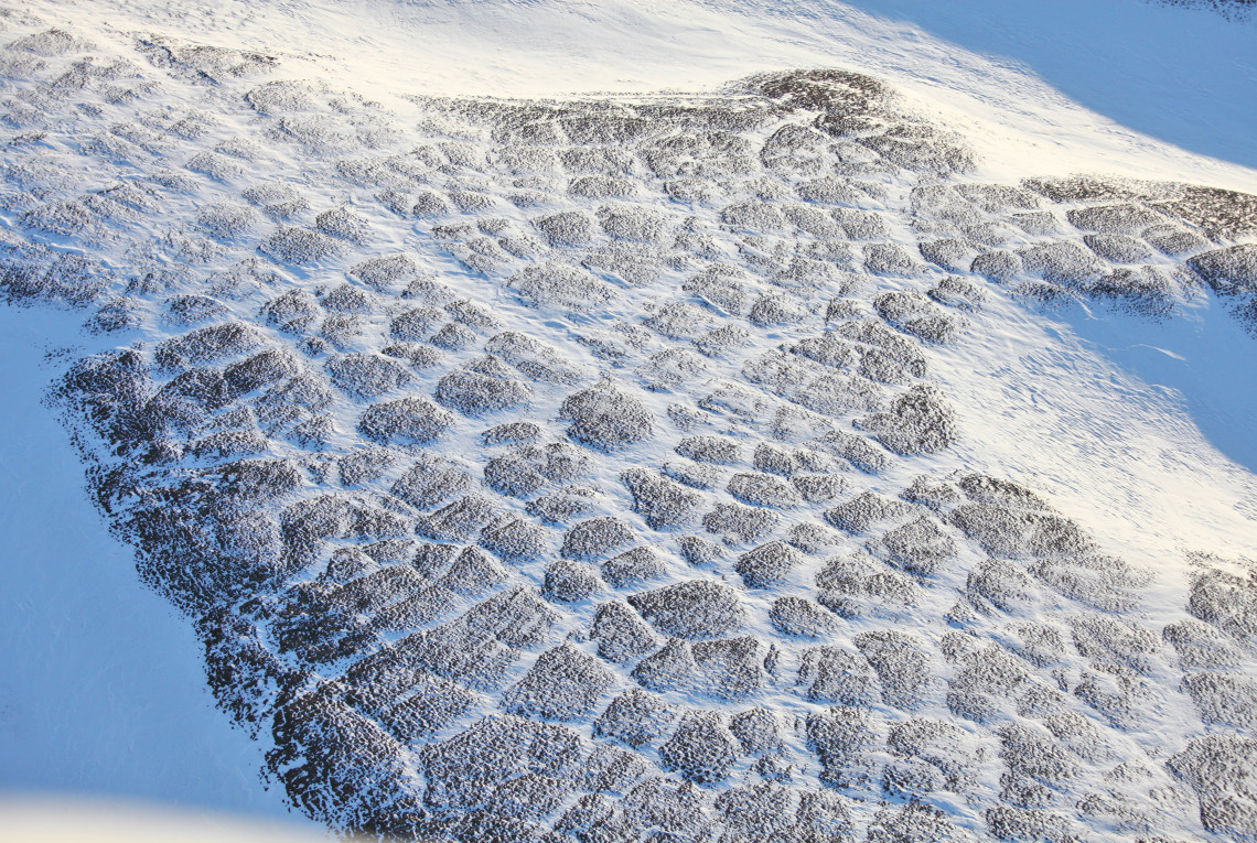 Vereiste Tundra-Landschaft - schneebedeckt im Winter