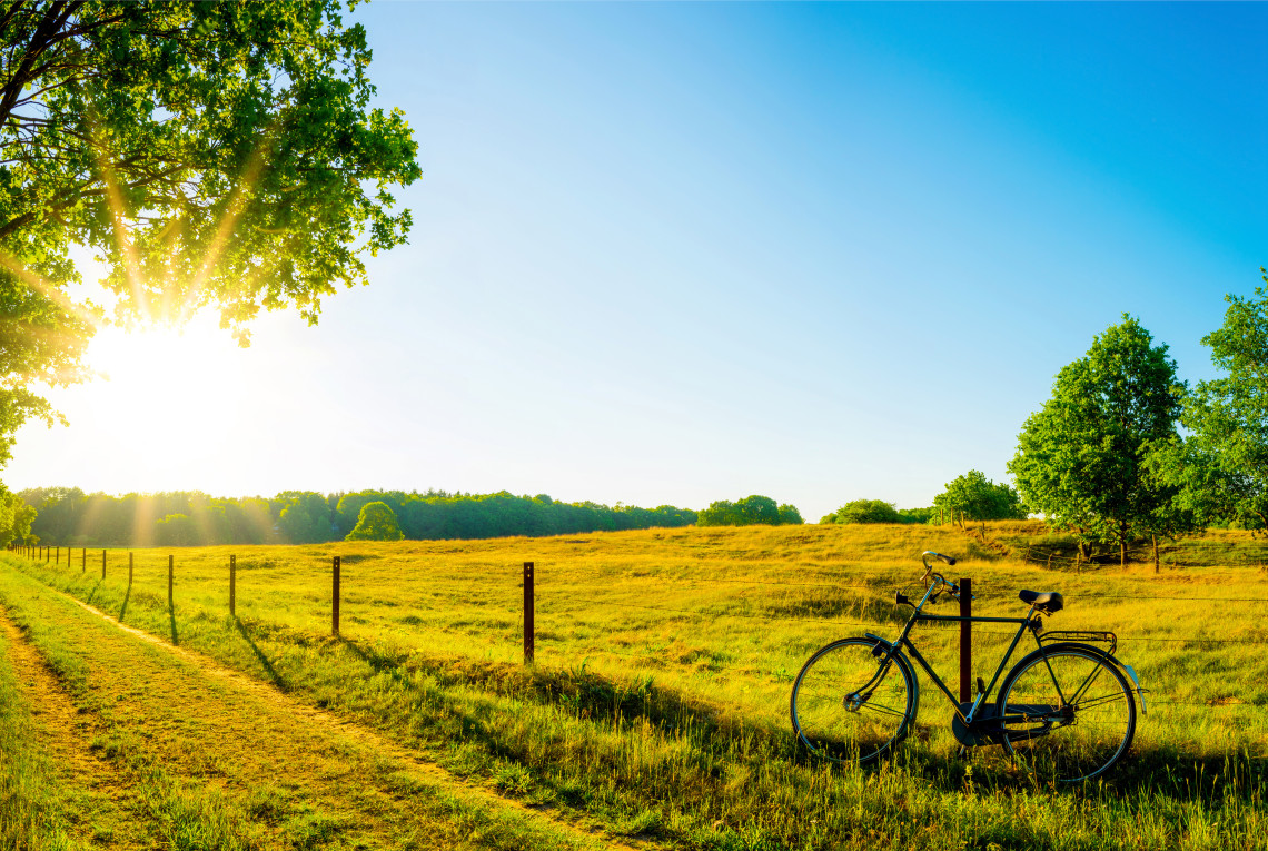 Grüne Landschaft mit Fahrrad im Vordergrund