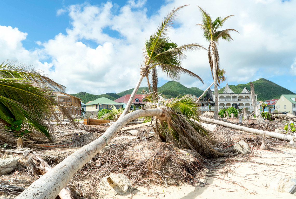 Hurricane-Verwüstungen Ein Hurricane hat Häuser am Strand zerstört. Umgefallende Bäume liegen im Sand.