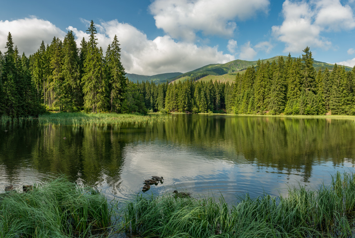 Waldsee Niedere Tatra
