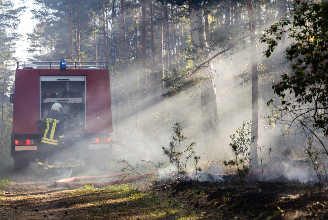 Brennender Waldboden bei Waldbrand Brennender Waldboden bei Waldbrand