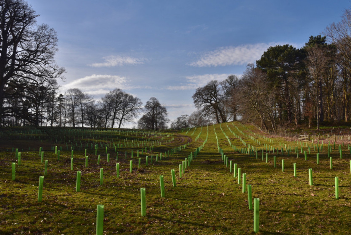Agroforstwirtschaft im englischen Shropshire