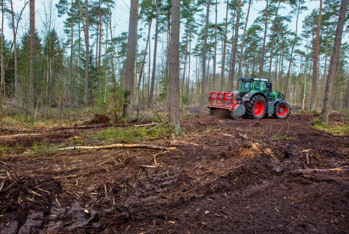 Mulchen in der Forstwirtschaft. Bodenvorbereitung beim Waldumbau