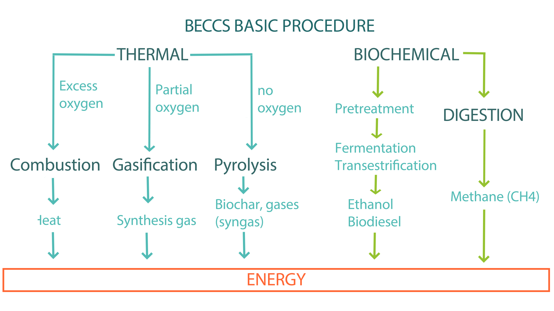 BECCS Basic Procedure