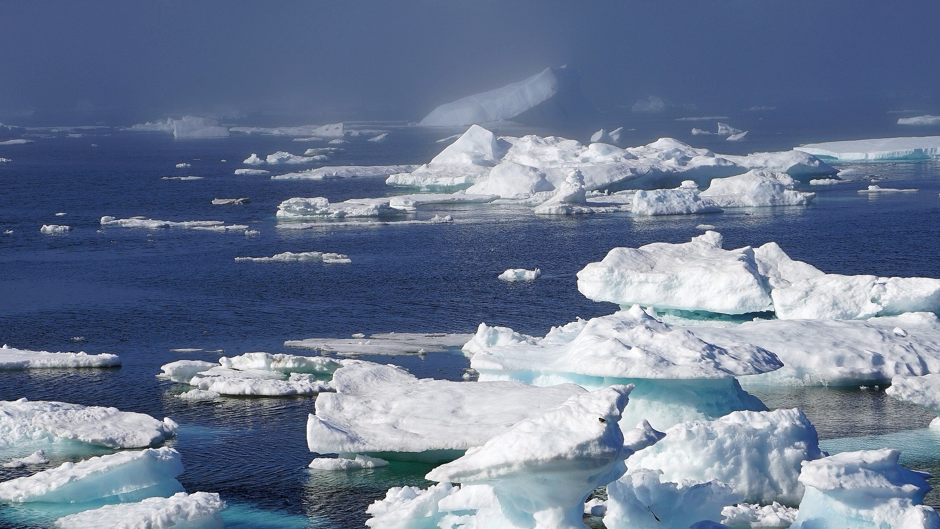 Chunks of ice floating on the ocean surface