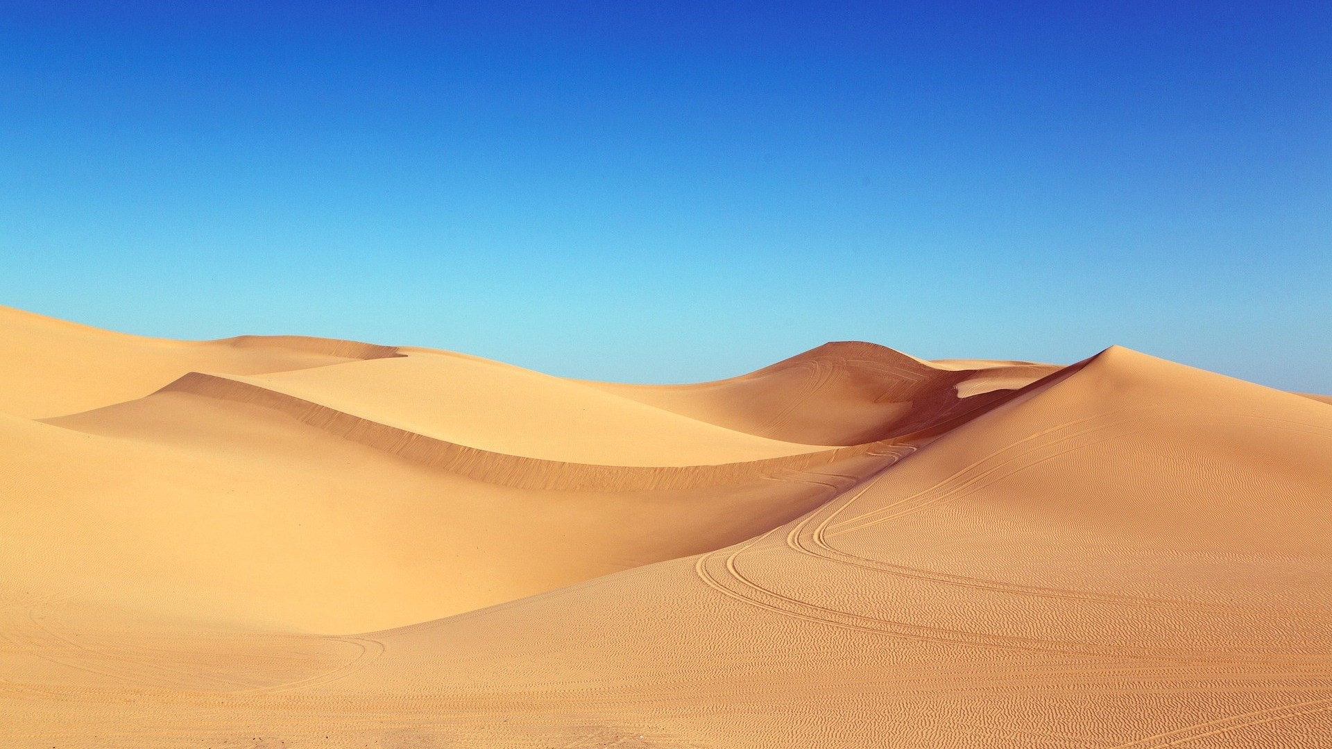 Golden sand dunes in the Sahara desert under a bright blue sky