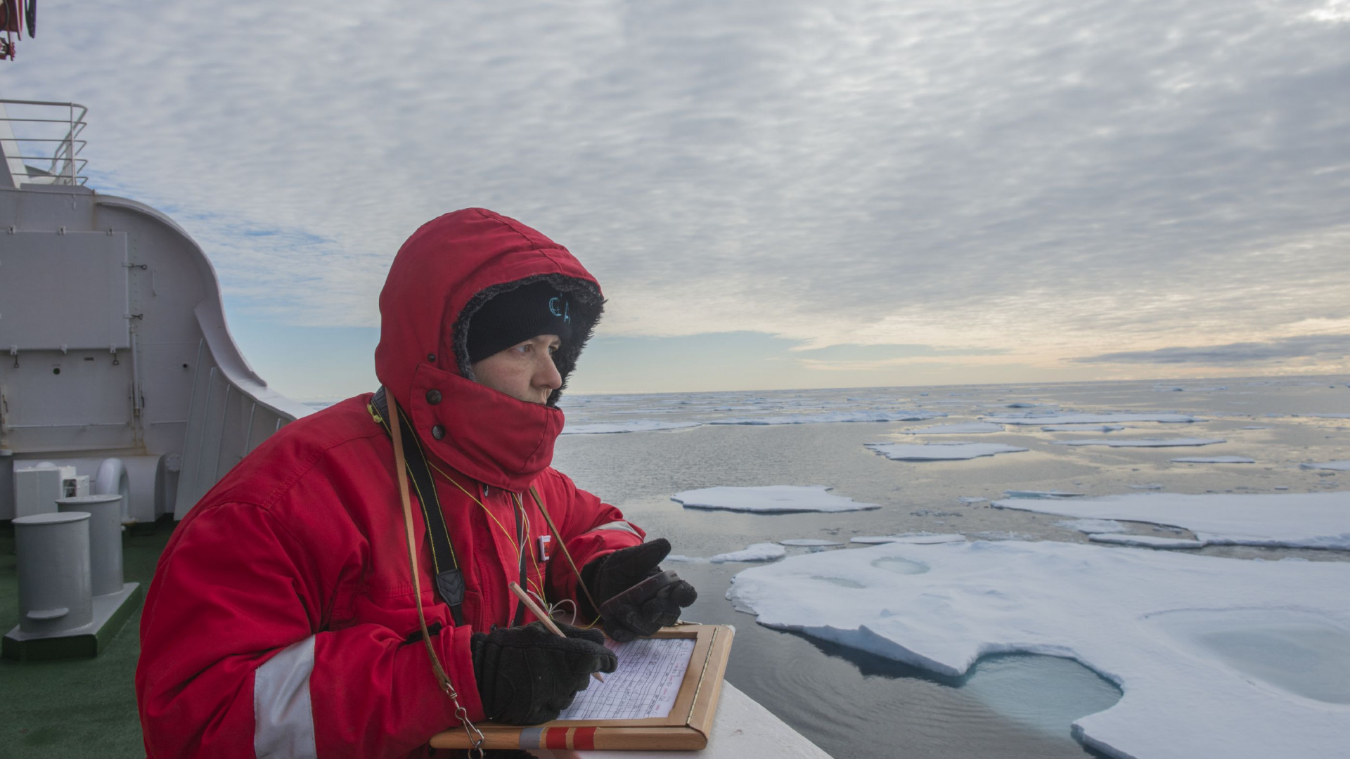 Wissenschaftlerin Melanie Bergmann in roter Jacke und mit Notizblock und Stift an der Reeling eines Schiffs. Auf dem Meer schwimmen Eisschollen