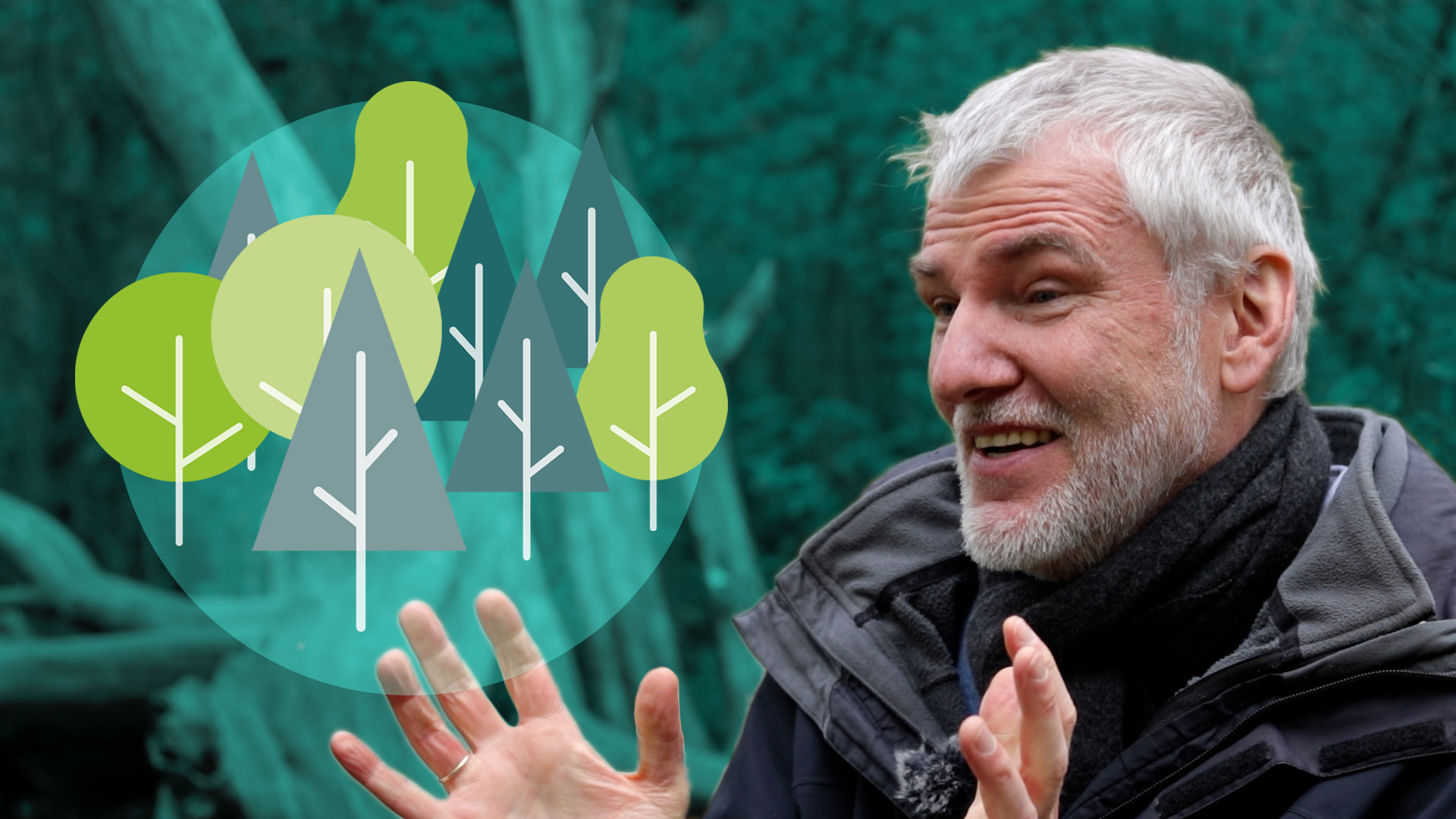 UFZ-Wissenschaftler Andreas Huth erklärt, wie sich der Wald an den Klimawandel anpassen kann